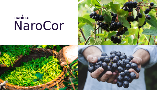 NaroCor - Heilpflanzen